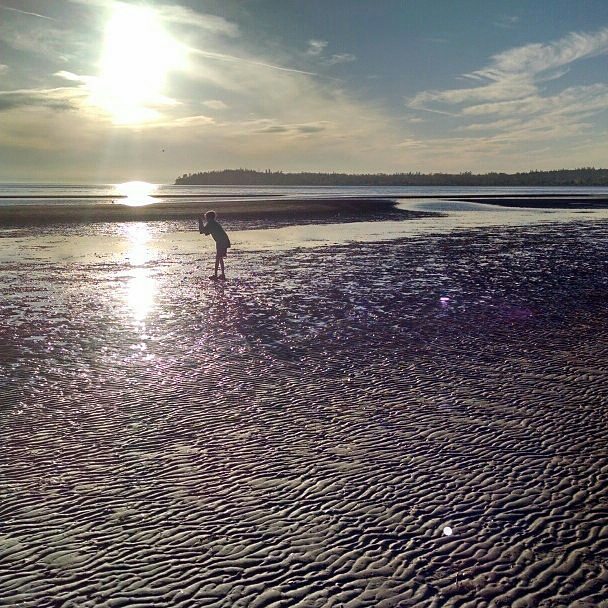 D exploring the beach